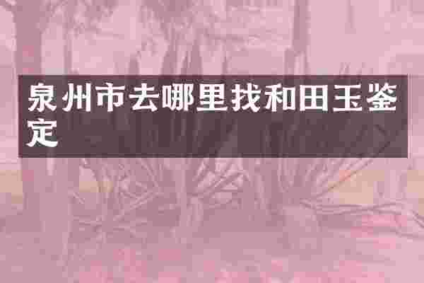 泉州市去哪里找和田玉鉴定