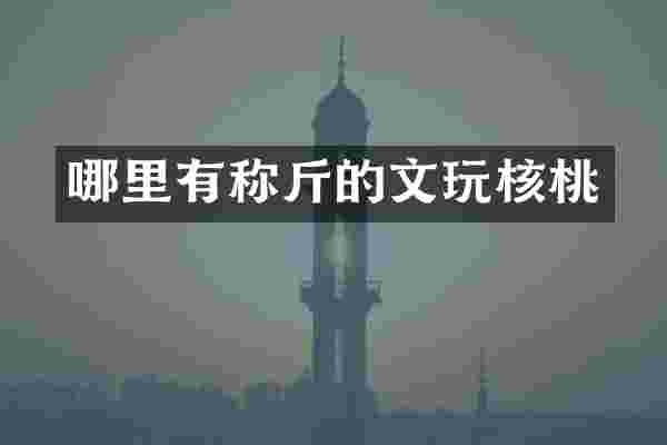 哪里有称斤的文玩核桃