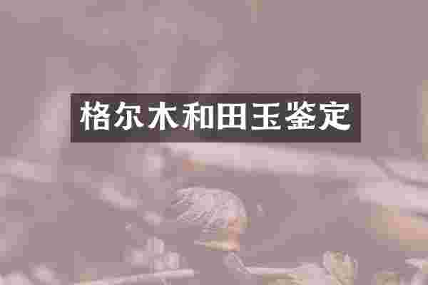 格尔木和田玉鉴定