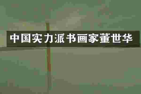 中国实力派书画家董世华