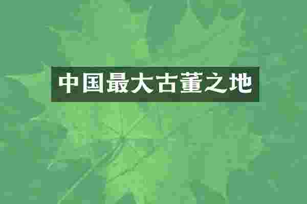 中国最大古董之地