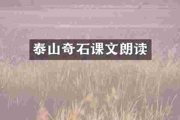 泰山奇石课文朗读