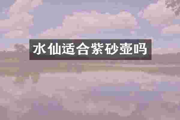 水仙适合紫砂壶吗