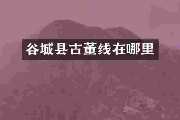 谷城县古董线在哪里