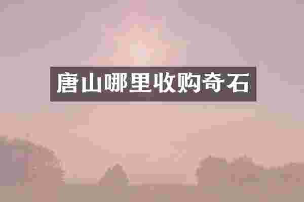 唐山哪里收购奇石