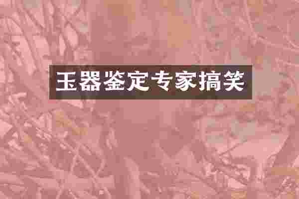 玉器鉴定专家搞笑