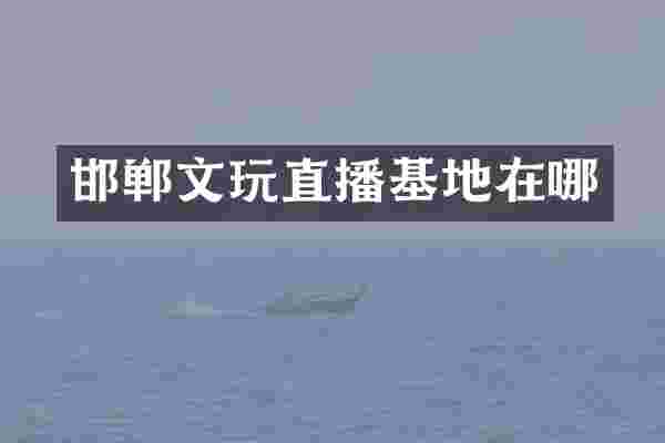 邯郸文玩直播基地在哪