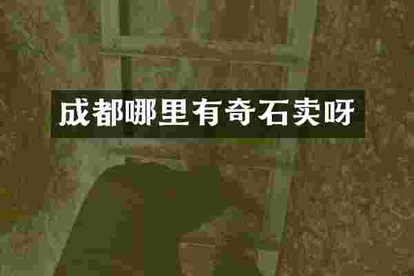 成都哪里有奇石卖呀