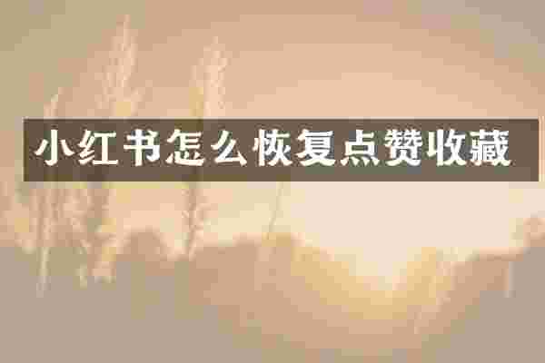 小红书怎么恢复点赞收藏
