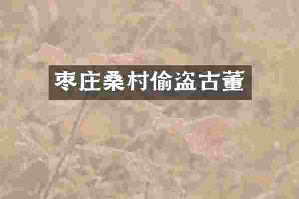 枣庄桑村偷盗古董