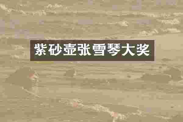 紫砂壶张雪琴大奖