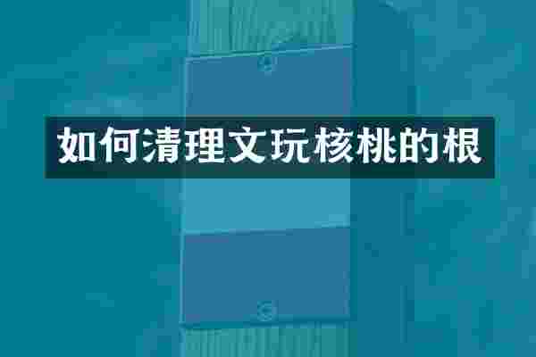 如何清理文玩核桃的根