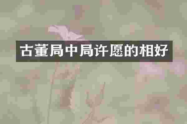 古董局中局许愿的相好