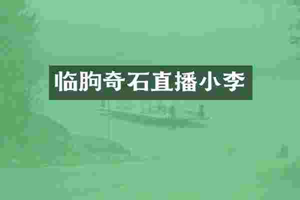 临朐奇石直播小李