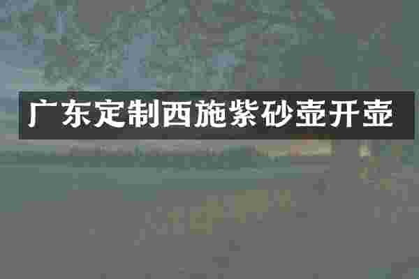 广东定制西施紫砂壶开壶