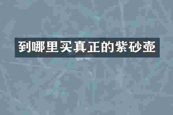 到哪里买真正的紫砂壶