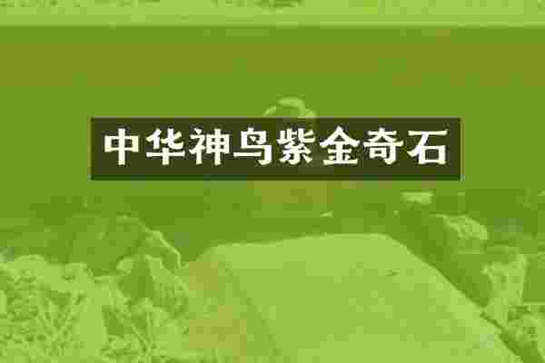 中华神鸟紫金奇石