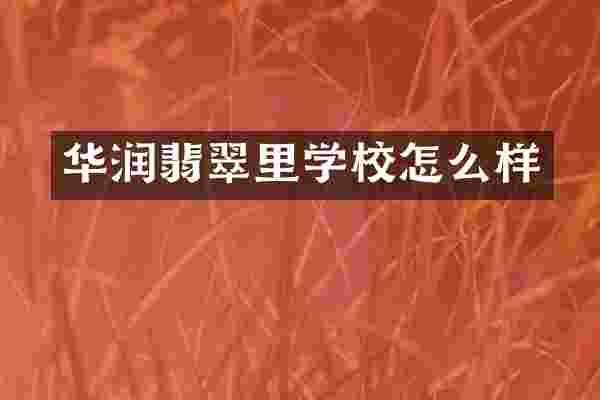 华润翡翠里学校怎么样