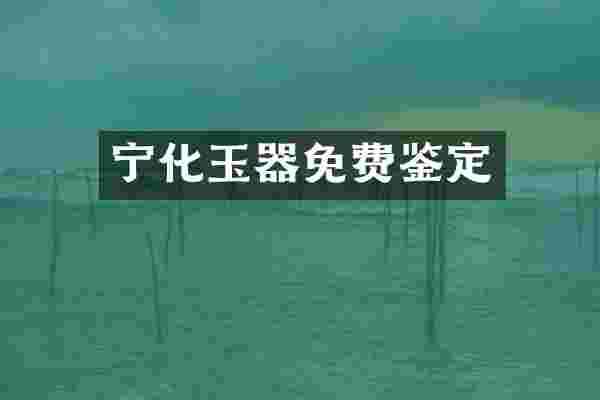 宁化玉器免费鉴定