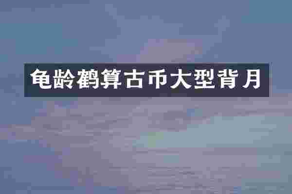 龟龄鹤算古币大型背月
