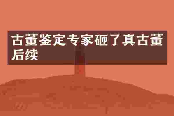古董鉴定专家砸了真古董后续