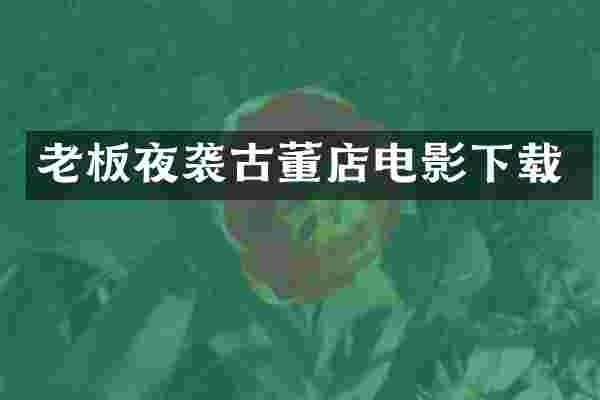 老板夜袭古董店电影下载