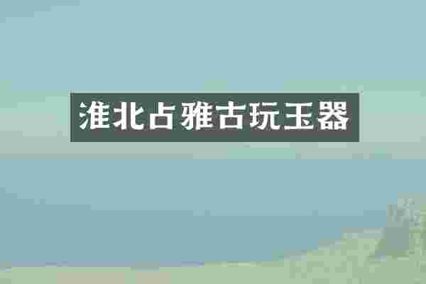 淮北占雅古玩玉器