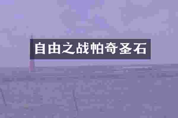 自由之战帕奇圣石