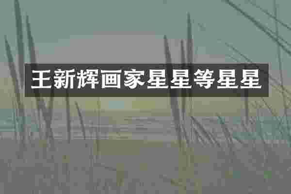 王新辉画家星星等星星