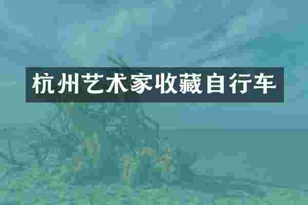 杭州艺术家收藏自行车