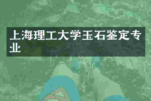 上海理工大学玉石鉴定专业