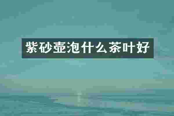 紫砂壶泡什么茶叶好