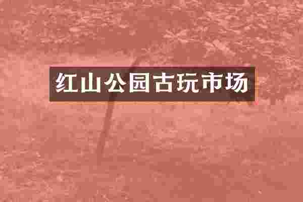 红山公园古玩市场