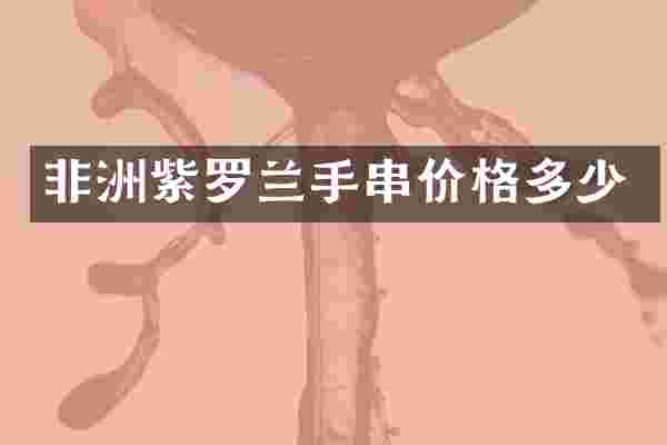 非洲紫罗兰手串价格多少