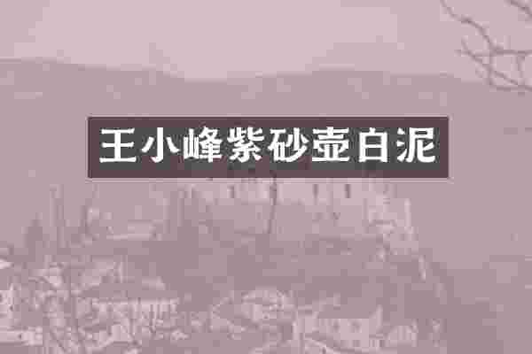 王小峰紫砂壶白泥