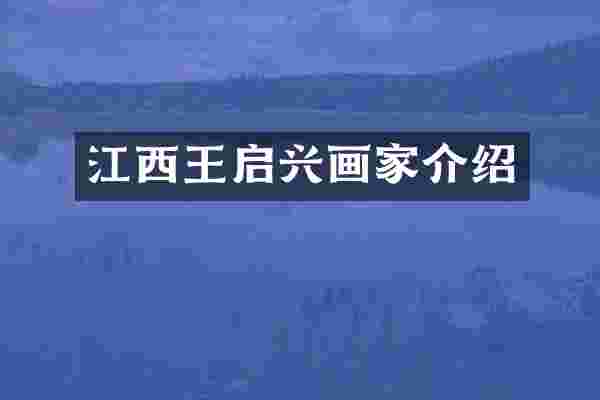 江西王启兴画家介绍