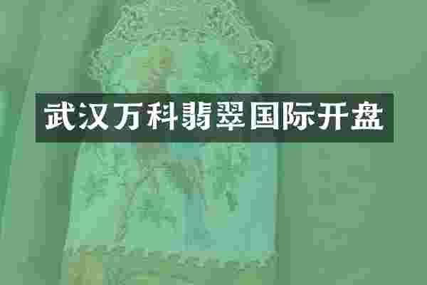 武汉万科翡翠国际开盘