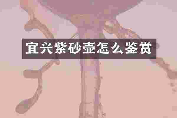 宜兴紫砂壶怎么鉴赏