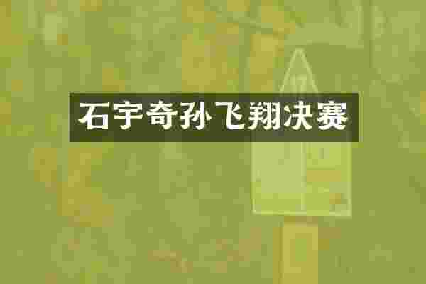 石宇奇孙飞翔决赛