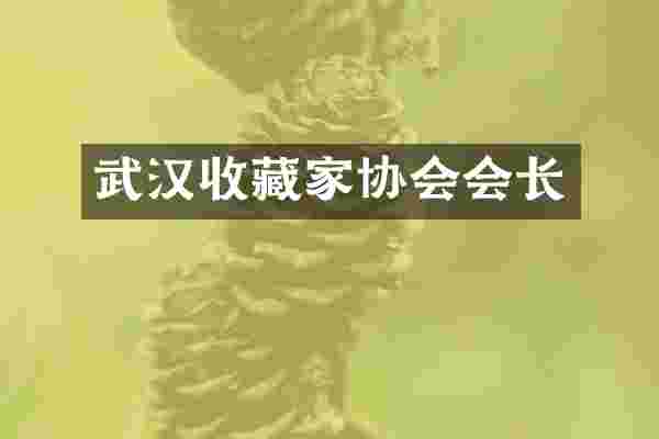 武汉收藏家协会会长