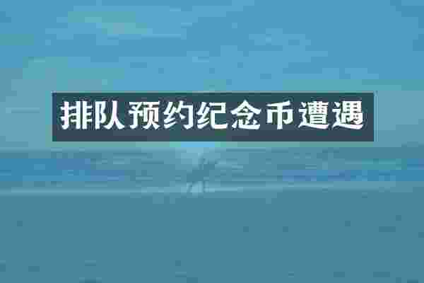 排队预约纪念币遭遇