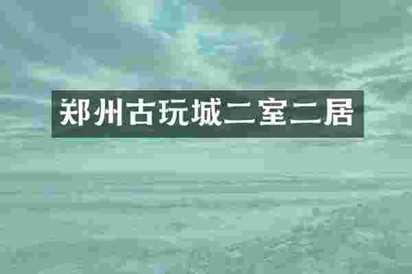 郑州古玩城二室二居