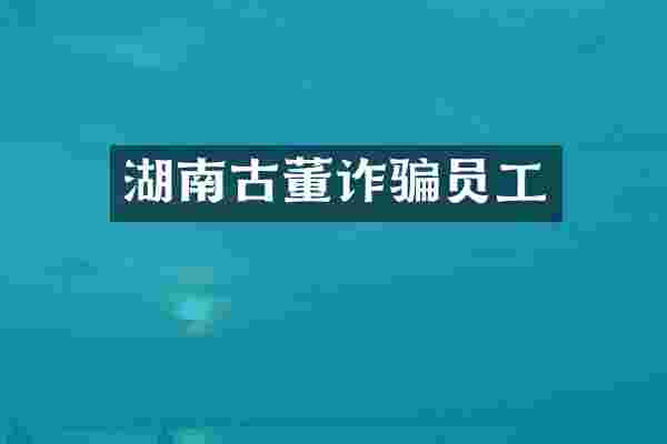 湖南古董诈骗员工