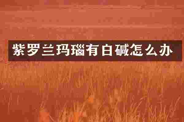紫罗兰玛瑙有白碱怎么办