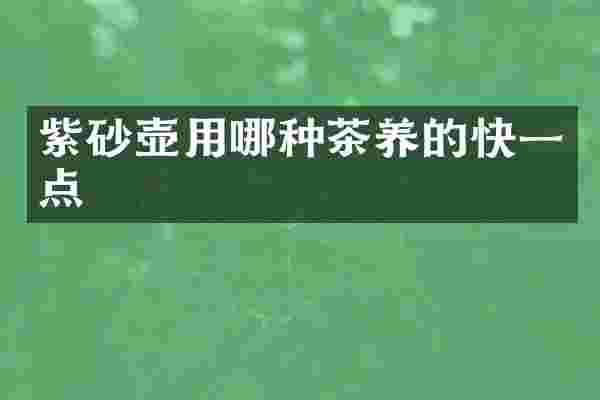 紫砂壶用哪种茶养的快一点