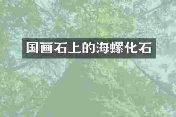 国画石上的海螺化石