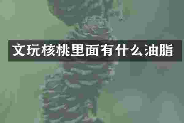 文玩核桃里面有什么油脂