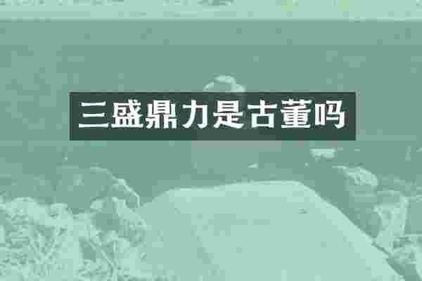三盛鼎力是古董吗