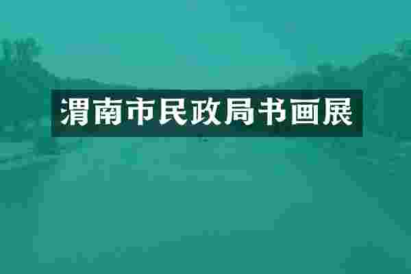 渭南市民政局书画展