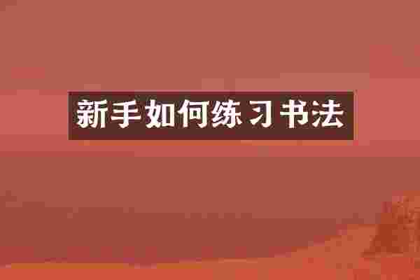 新手如何练习书法